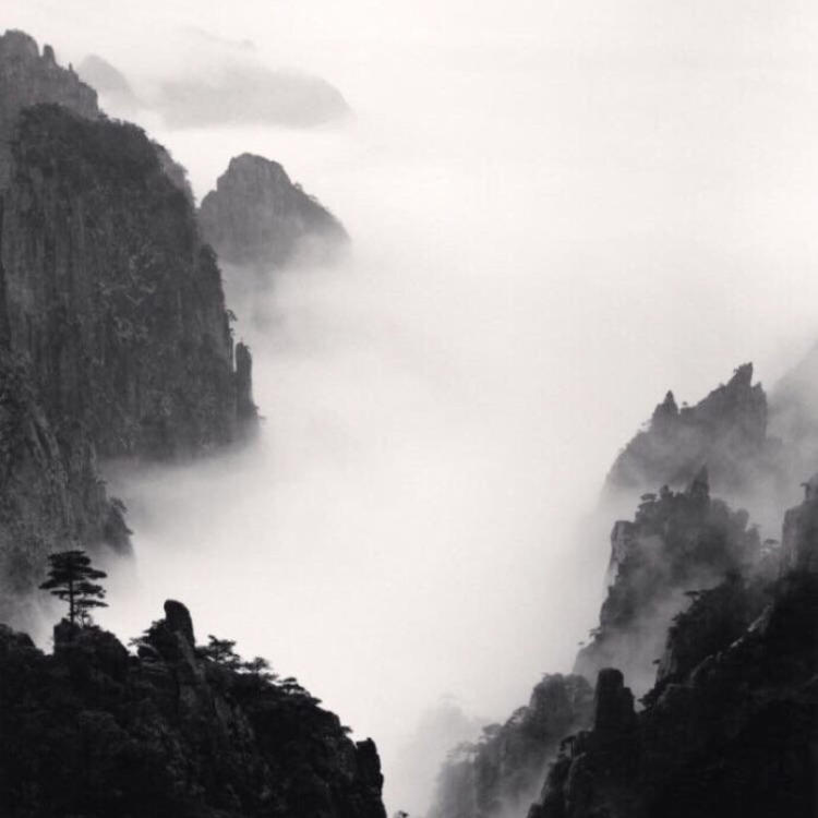 雪代巴（身份：剑心前妻、OVA《追忆篇》核心角色） - 动画电影国语在线观看 - 云端看剧